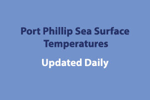 BayWx - Temperatures Weather and Tides - WNAC BayWx - Temperatures Weather and Tides - WNAC