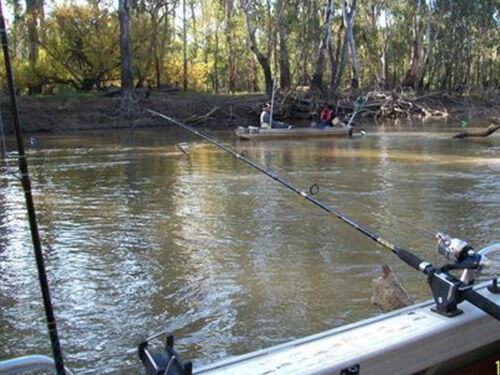 Williamstown and Newport Anglers Club (WNAC)