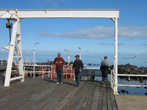 Williamstown and Newport Anglers Club (WNAC)